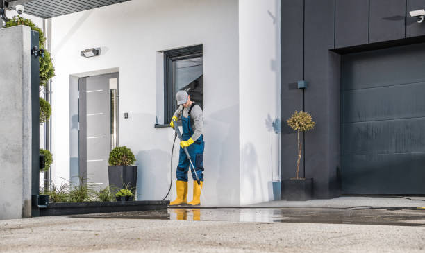 Best Roof Washing  in Fairview, MT
